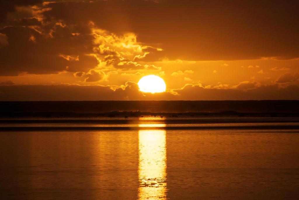 The Black Pearl Beachside Apartments Rarotonga Kültér fotó